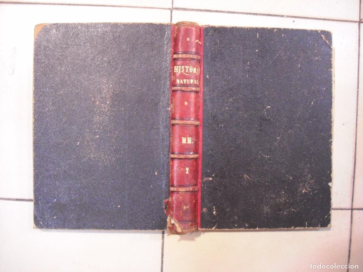 Livros em segunda m&atilde;o: HISTORIA NATURAL , TOMO II MAMIFEROS , DR. BREHM 1880