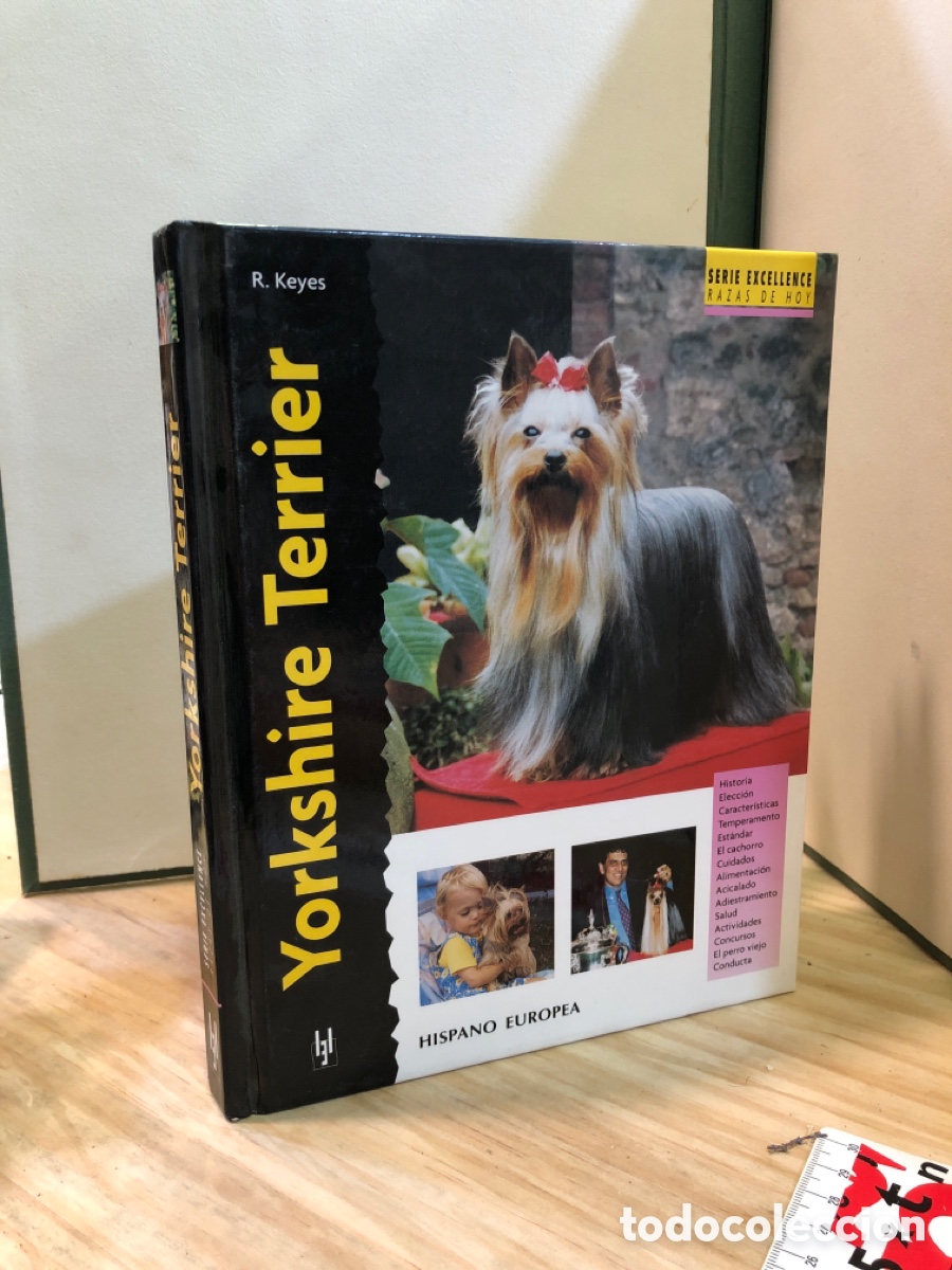 Libros de segunda mano: Yorkshire Terrier - Rachel Keyes