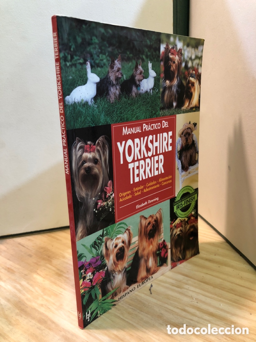 Libros de segunda mano: Manual practico del yorkshire terrier - Elizabeth Downing