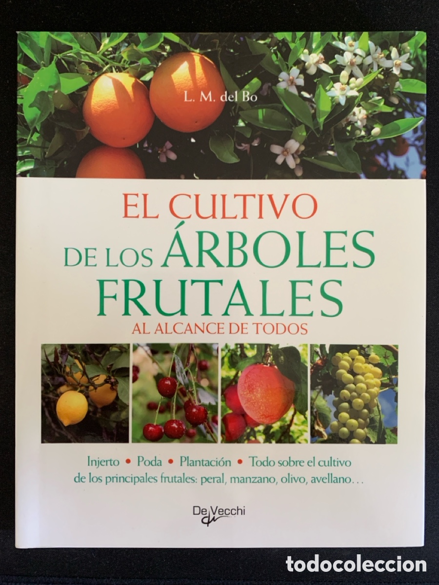 Libros de segunda mano: El Cultivi de los &Aacute;rboles frutales al alcance de todos
