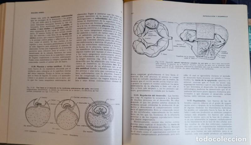 Libros de segunda mano: Elementos de Zoolog&iacute;a - Tracy I. Storer, Robert L. Usinger - Editorial Omega - Foto 3