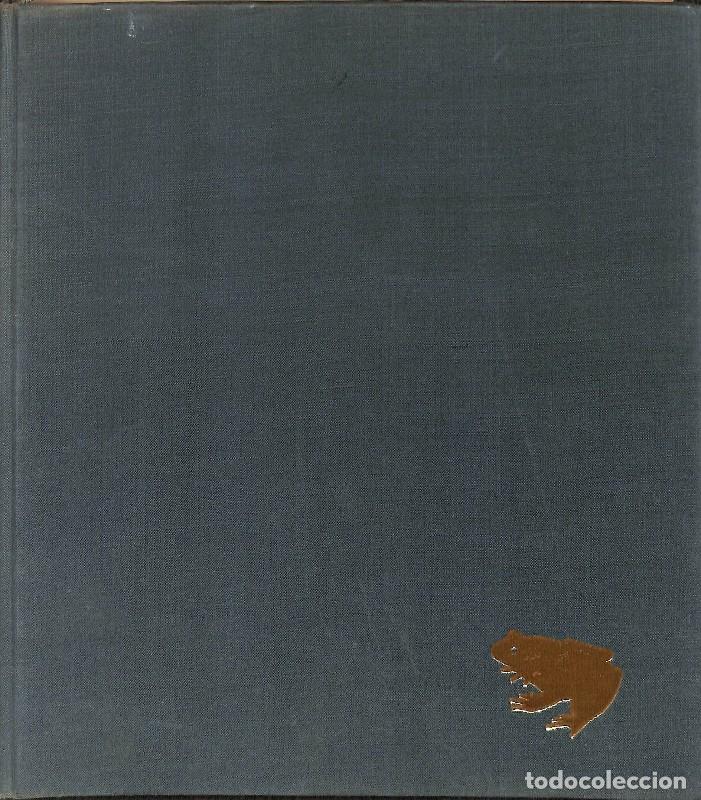 Libros de segunda mano: Elementos de Zoolog&iacute;a - Tracy I. Storer, Robert L. Usinger - Editorial Omega - Foto 1