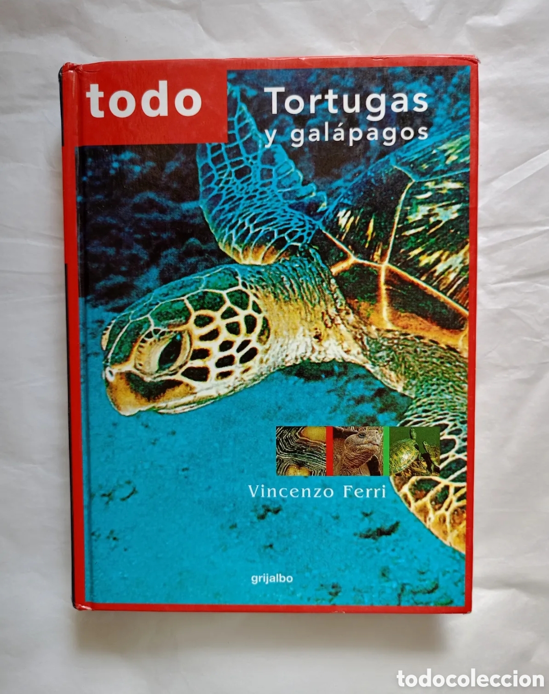 Libros de segunda mano: todo Tortugas y gal&aacute;pagos Vincenzo Ferri grijalbo