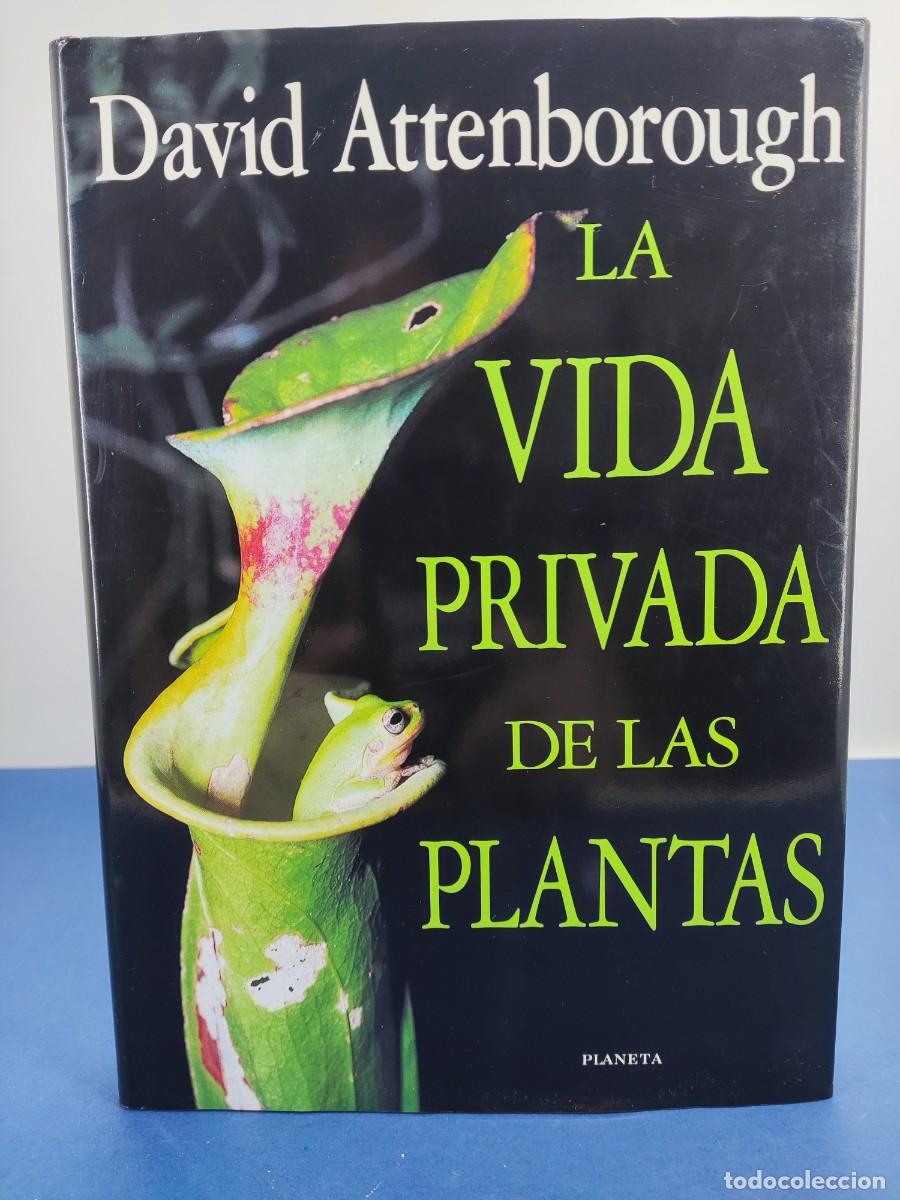 Libros de segunda mano: LA VIDA PRIVADA DE LAS PLANTAS / DAVID ATTENBOROUGH / 1&ordf;ed.1995. PLANETA