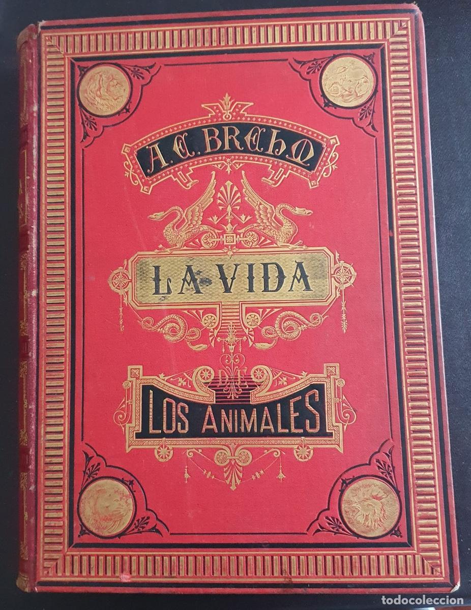 Libros de segunda mano: Libro La vida de los animales - Los Mam&iacute;feros Tomo I (circa 1880) - Foto 1
