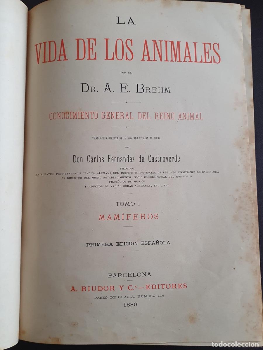 Libros de segunda mano: Libro La vida de los animales - Los Mam&iacute;feros Tomo I (circa 1880) - Foto 2