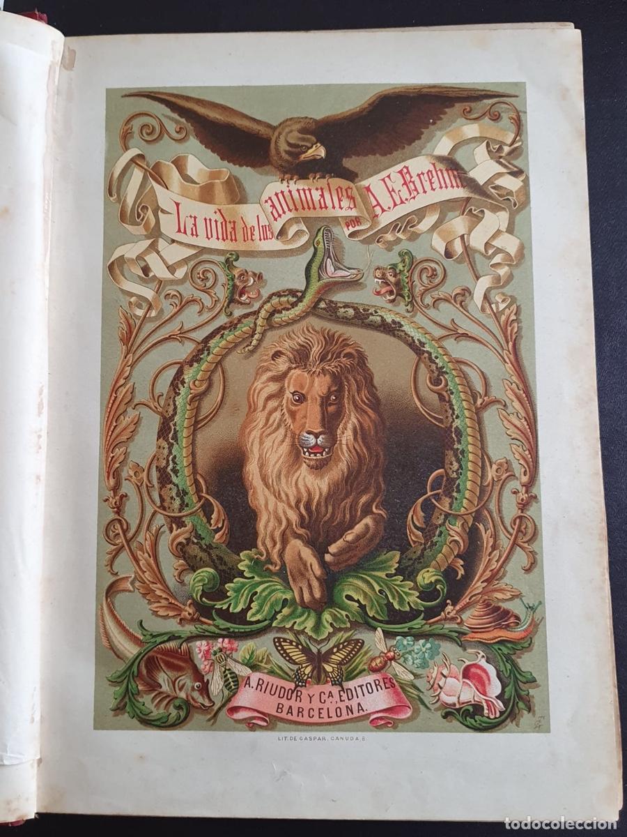 Libros de segunda mano: Libro La vida de los animales - Los Mam&iacute;feros Tomo I (circa 1880) - Foto 3