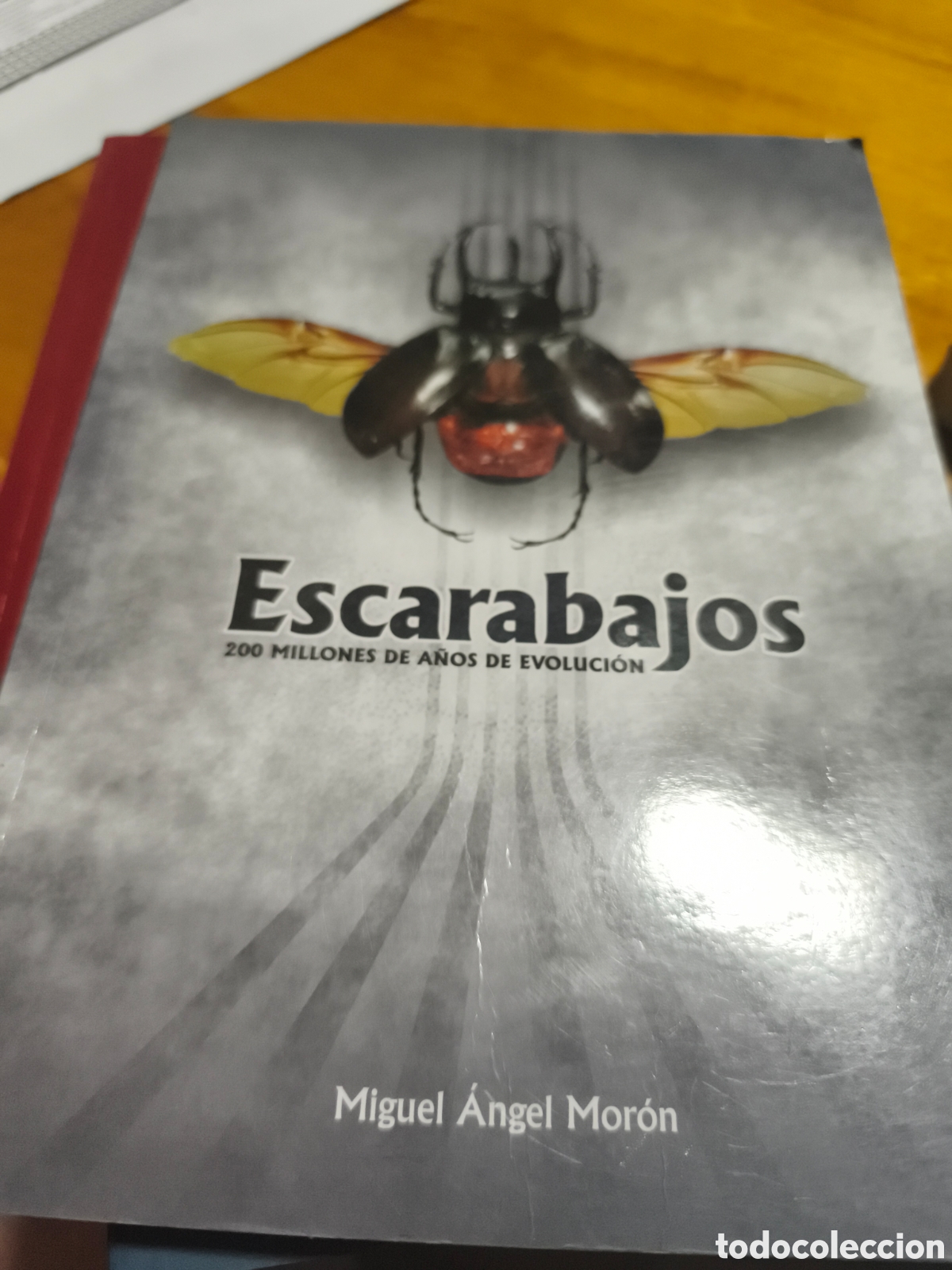 Libros de segunda mano: ESCARABAJOS 200 MILLONES DE A&Ntilde;OS DE EVOLUCI&Oacute;N M. &Aacute;NGEL MOR&Oacute;N SOC. ENTOMOLOGIA 2004