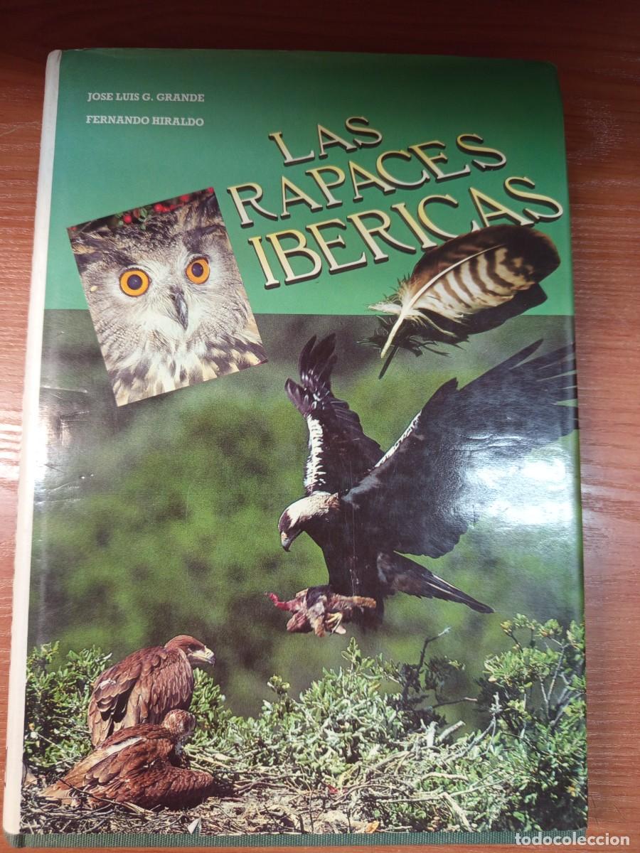 Libros de segunda mano: Las rapaces ib&eacute;ricas. - Foto 1