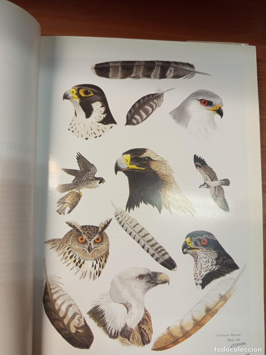 Libros de segunda mano: Las rapaces ib&eacute;ricas. - Foto 5