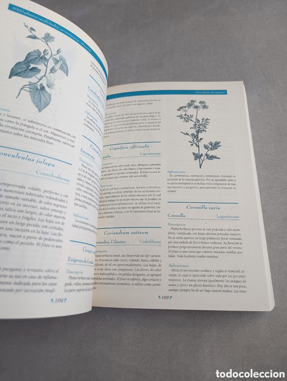 Libros de segunda mano: 1000 PLANTAS MEDICINALES, AROM&Aacute;TICAS Y CULINARIAS - Foto 8