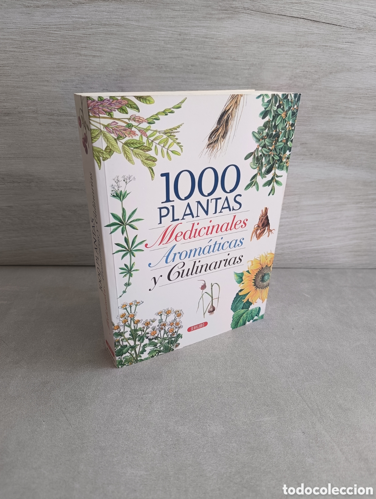 Libri di seconda mano: 1000 PLANTAS MEDICINALES, AROM&Aacute;TICAS Y CULINARIAS