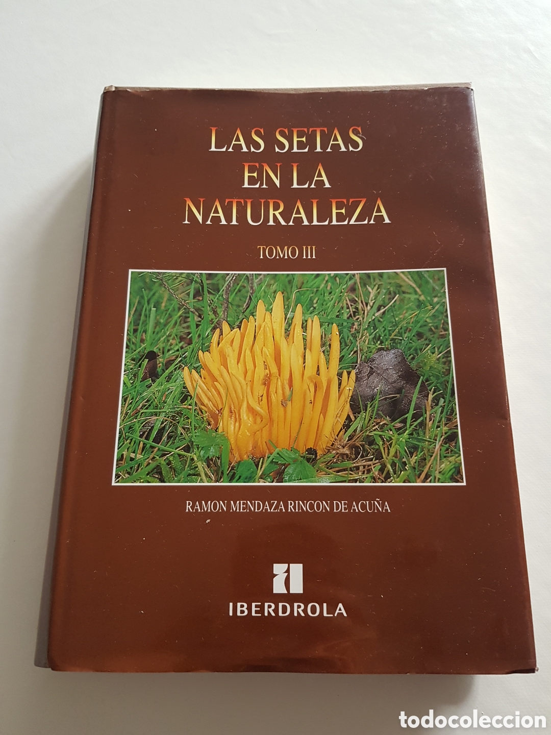 Libros de segunda mano: LAS SETAS EN LA NATURALEZA - TOMO II - IBERDROLA - RAM&Oacute;N MENDEZABAL