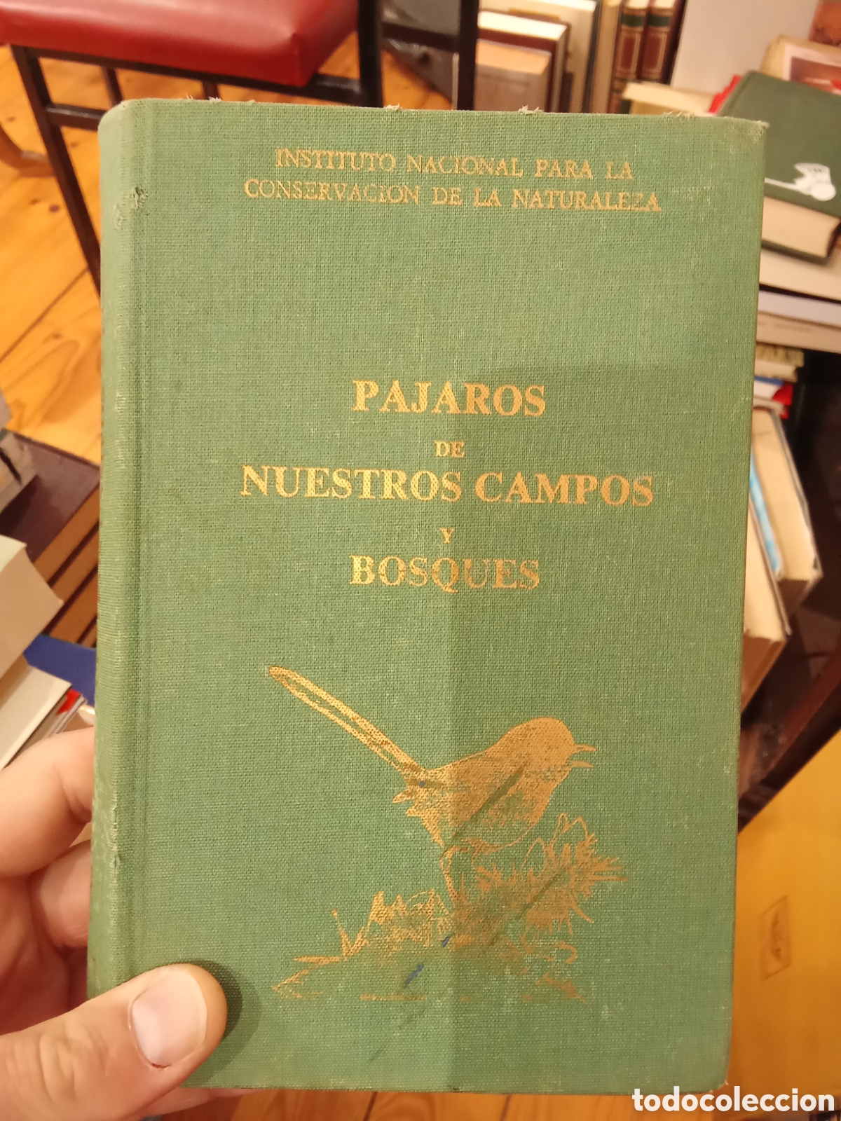 Libros de segunda mano: P&aacute;jaros de nuestros campos y bosques - Pedro Ceballos y Francisco Purroy