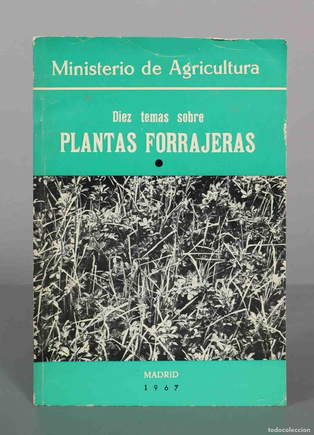 Libros de segunda mano: Diez temas sobre plantas forrajeras - Ministerio de Agricultura