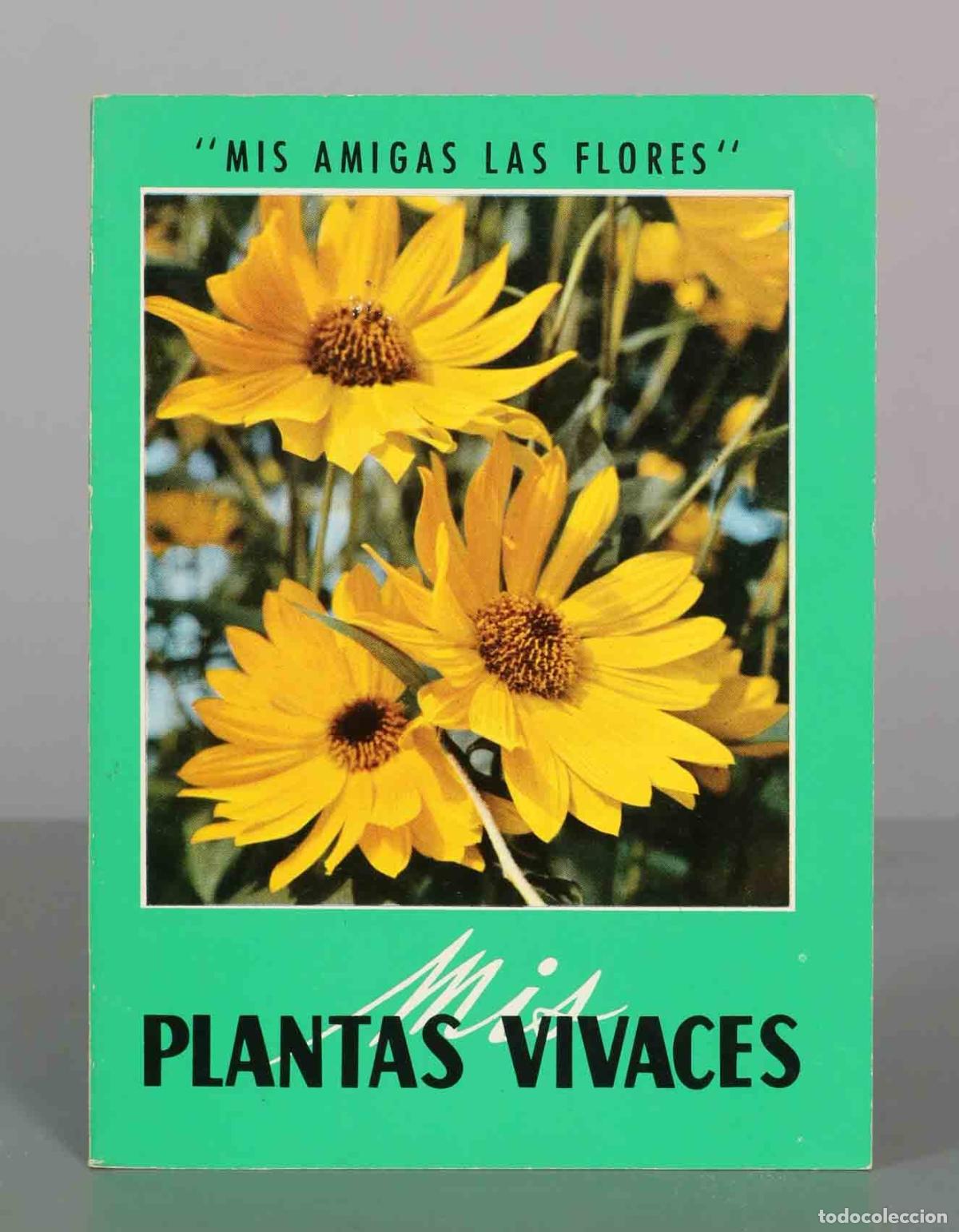 Libros de segunda mano: Mis plantas vivaces - Mis amigas las flores - Editorial Gustavo Gili