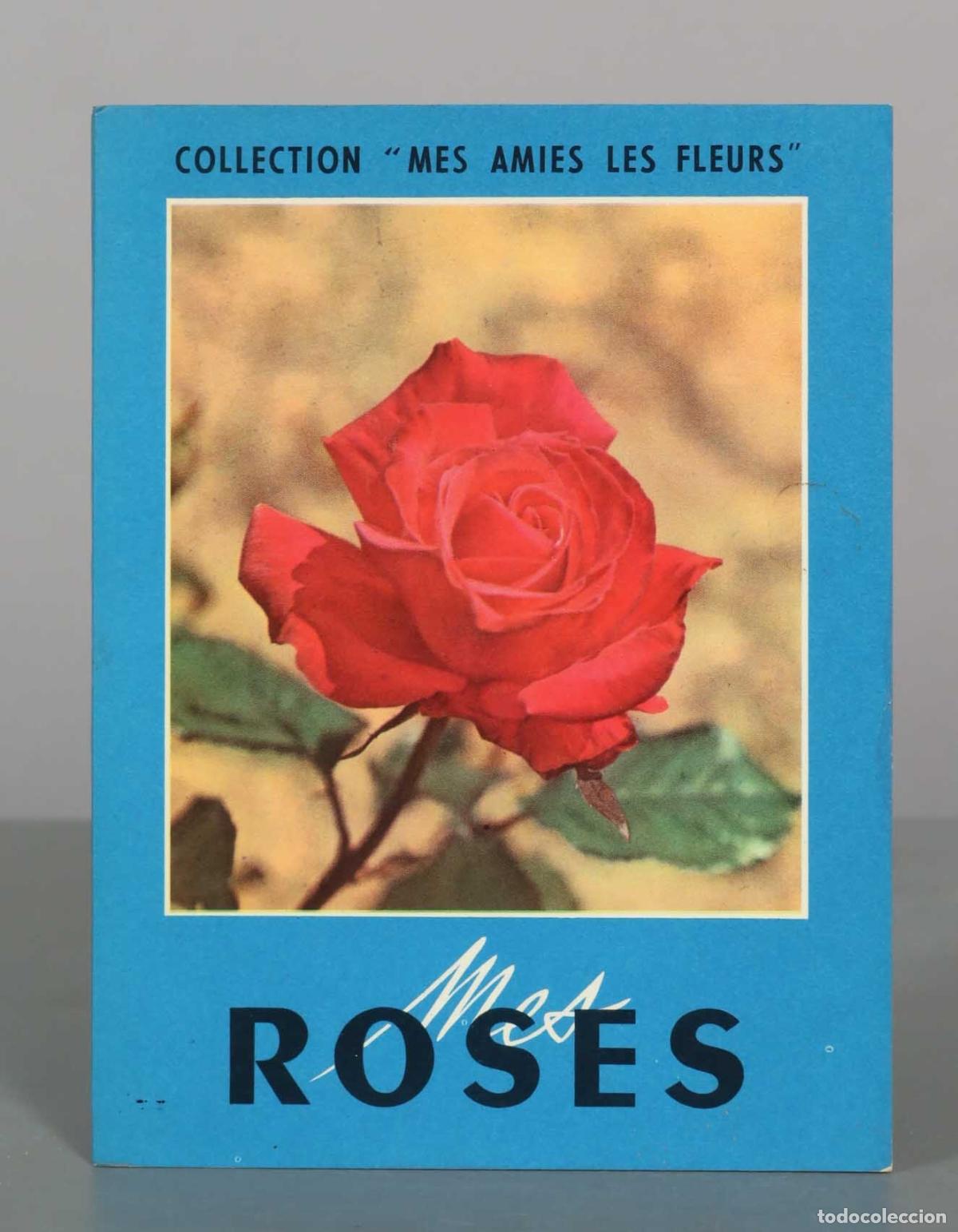 Libros de segunda mano: Mis Amigas Las Flores: Mis Rosas - Fran&ccedil;ois Pierre - Editorial Gustavo Gili