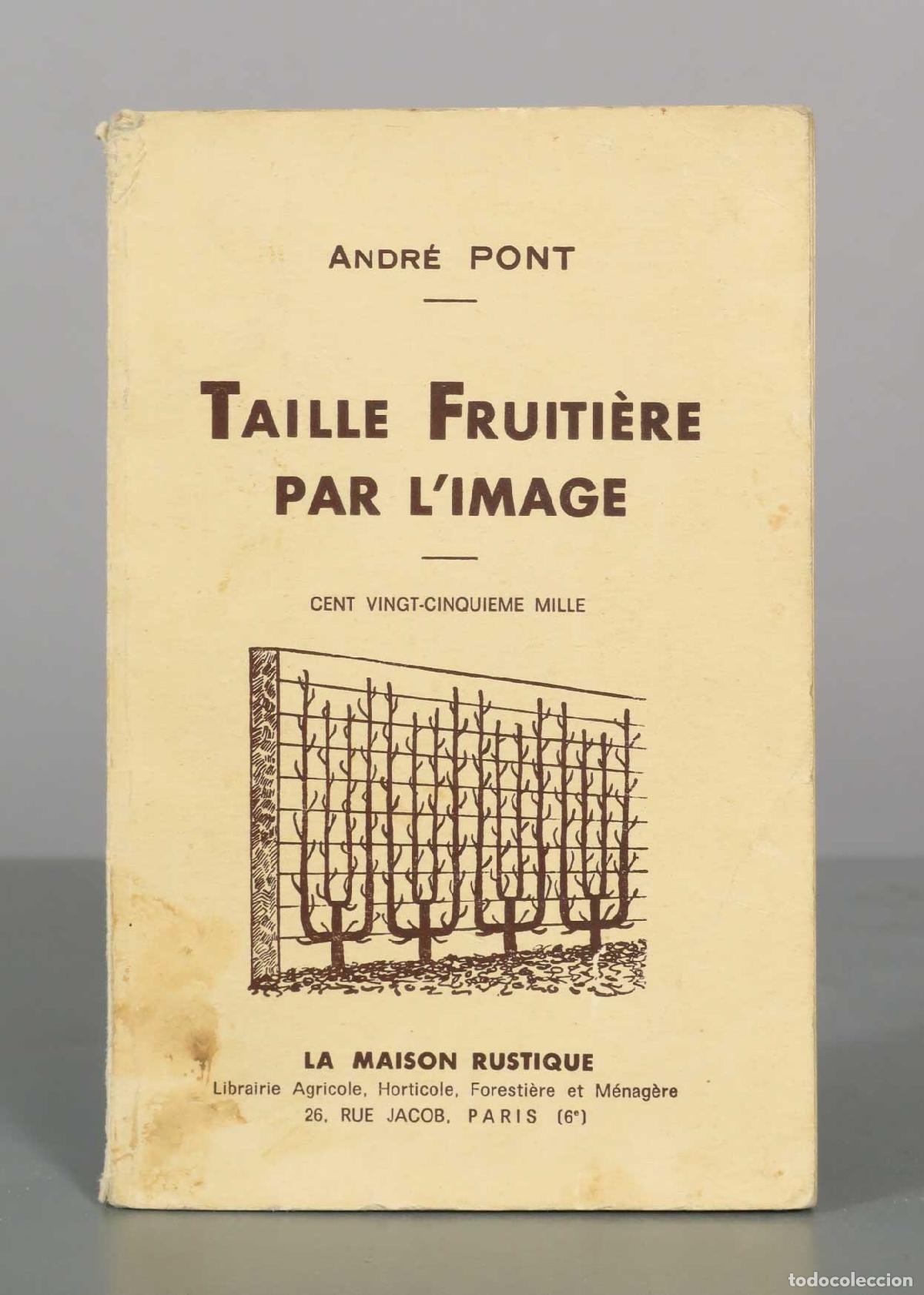 Libros de segunda mano: Taille fruiti&egrave;re par l&acute;image - Andr&eacute; Pont - La Maison Rustique
