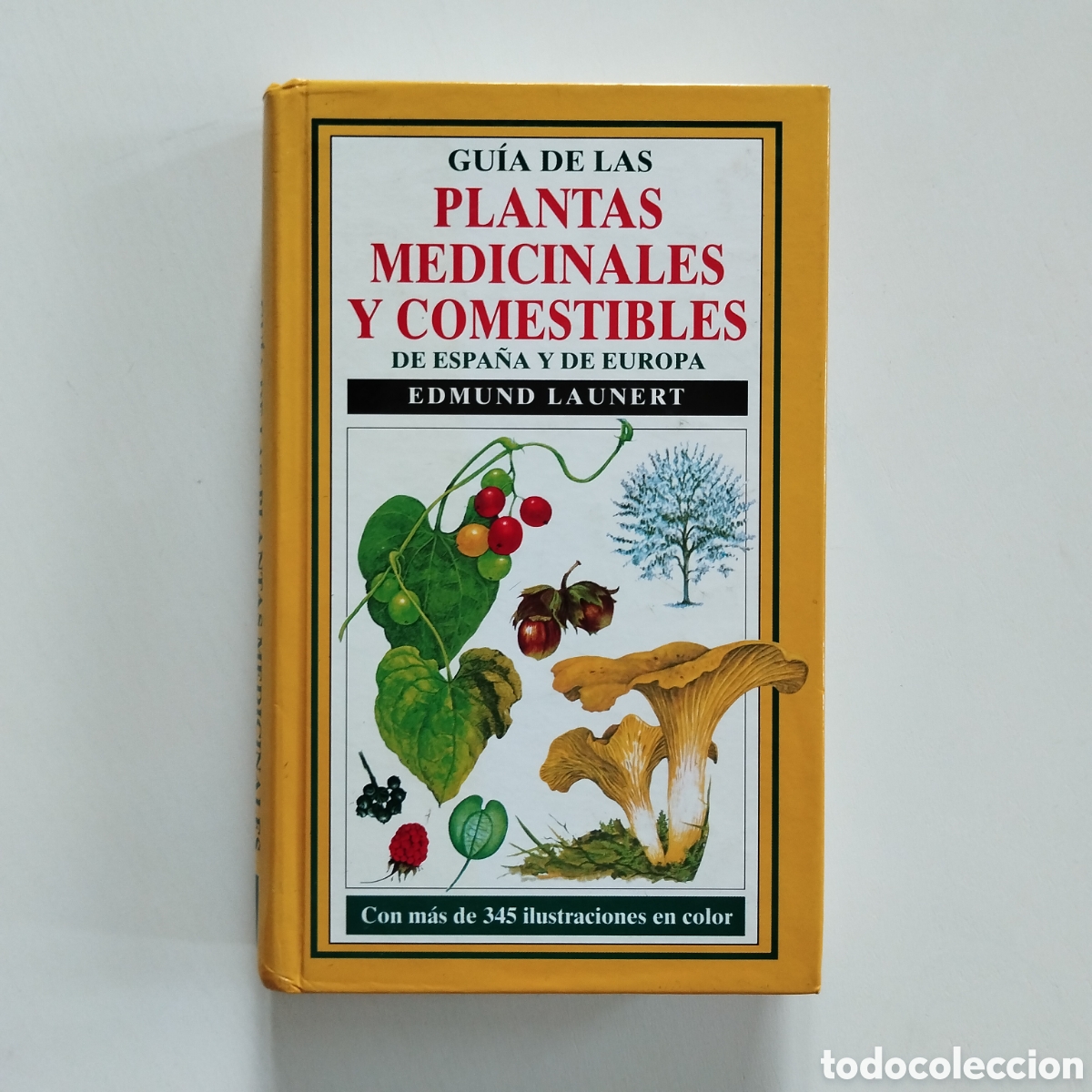 Libros de segunda mano: GUIA DE LAS PLANTAS MEDICINALES Y COMESTIBLES DE ESPA&Ntilde;A Y EUROPA EDMUND LAUNERT OMEGA