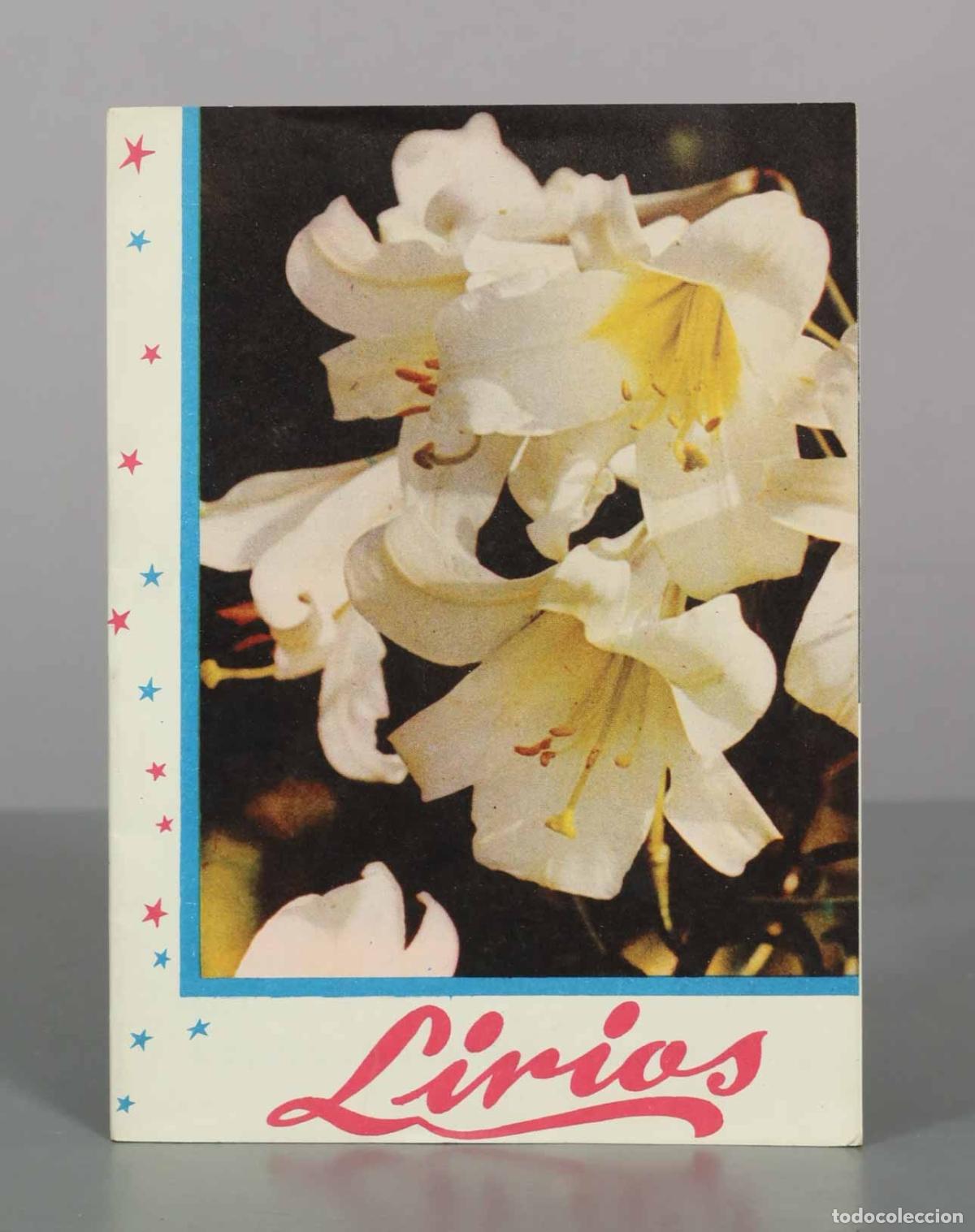 Libros de segunda mano: Lirios - Folleto N&ordm; 40 - Carville