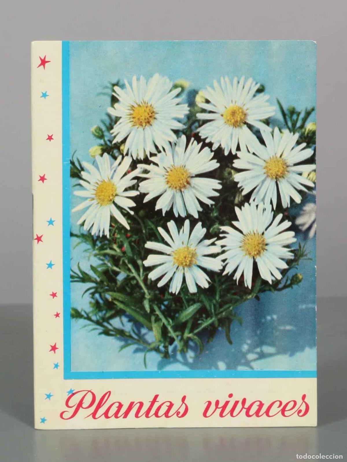 Libros de segunda mano: Plantas vivaces . KANDA