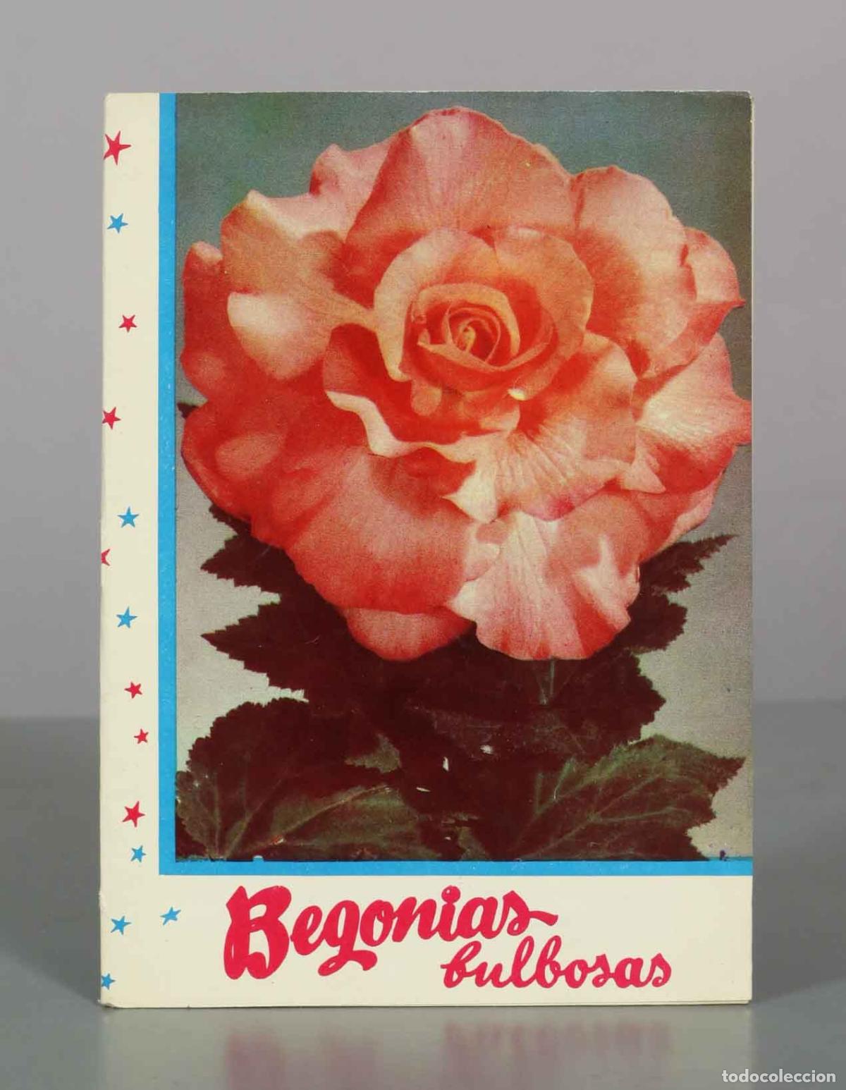Libros de segunda mano: Begonias bulbosas . KANDA