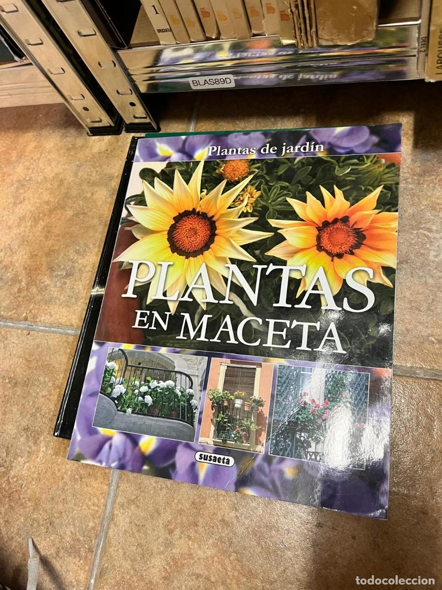 Libros de segunda mano: BLAS89D-09 &ndash; Plantas en maceta. Editorial: Susaeta.
