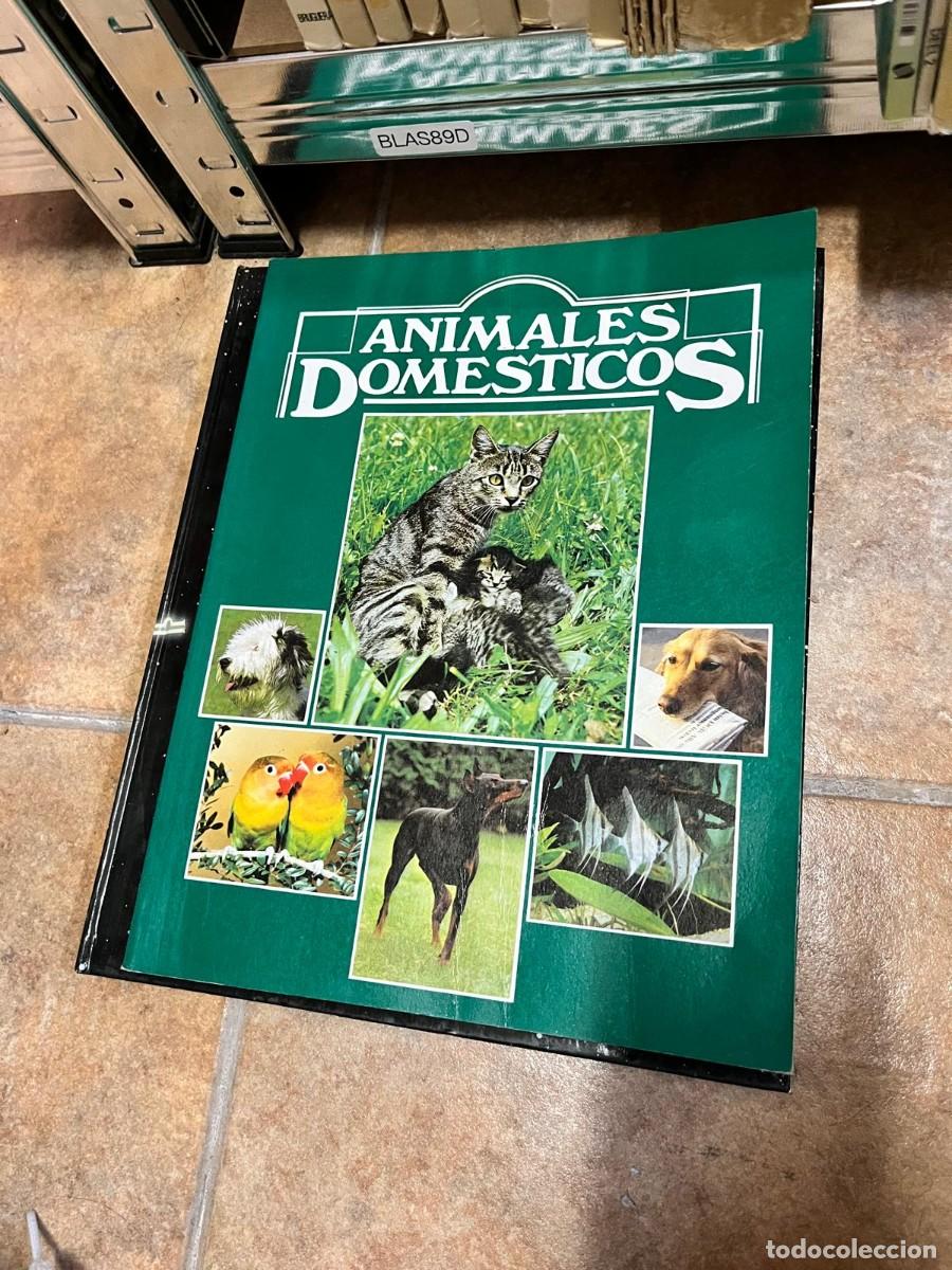 Libros de segunda mano: BLAS89D-10 &ndash; Animales dom&eacute;sticos. Editorial: Susaeta.
