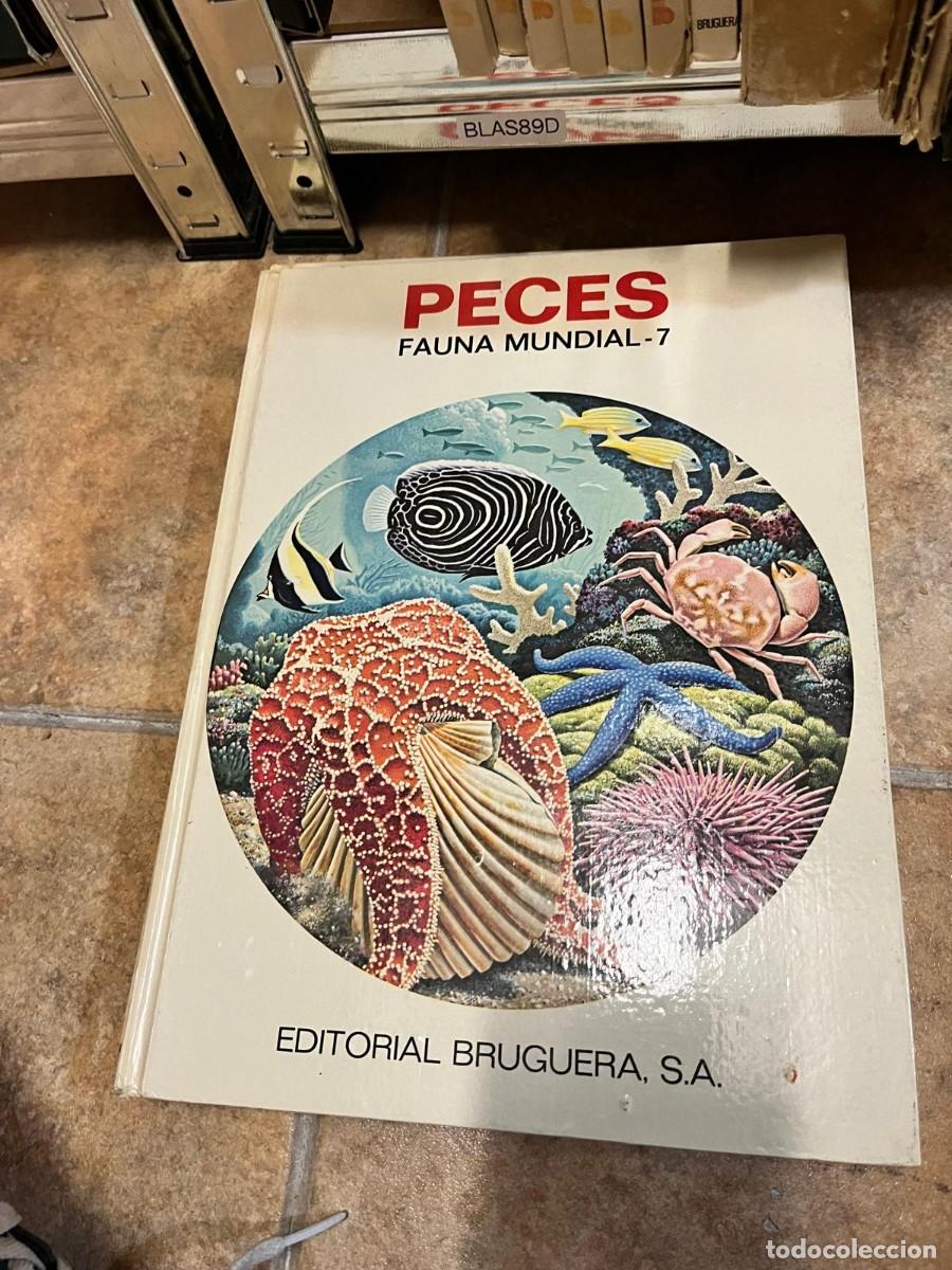 Libros de segunda mano: BLAS89D &ndash; Peces. Fauna Mundial - 7. Editorial Bruguera, S.A.