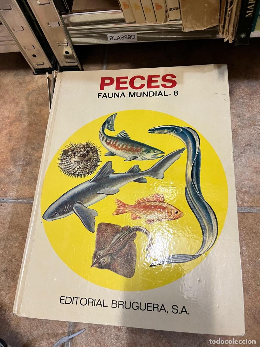 Libros de segunda mano: BLAS89D &ndash; Peces. Fauna Mundial - 8. Editorial Bruguera, S.A.
