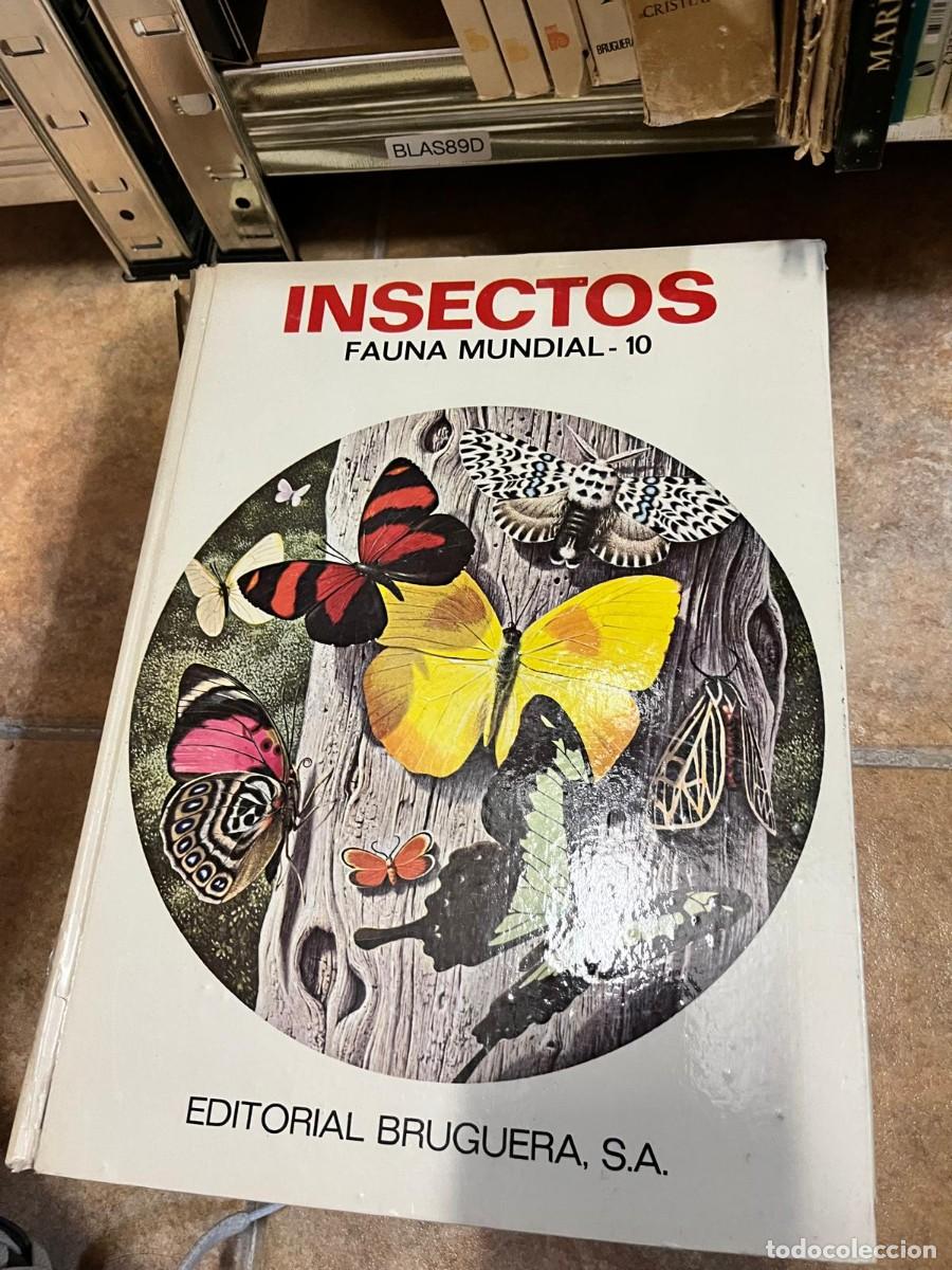 Libros de segunda mano: BLAS89D &ndash; Insectos. Fauna Mundial - 10. Editorial Bruguera, S.A.