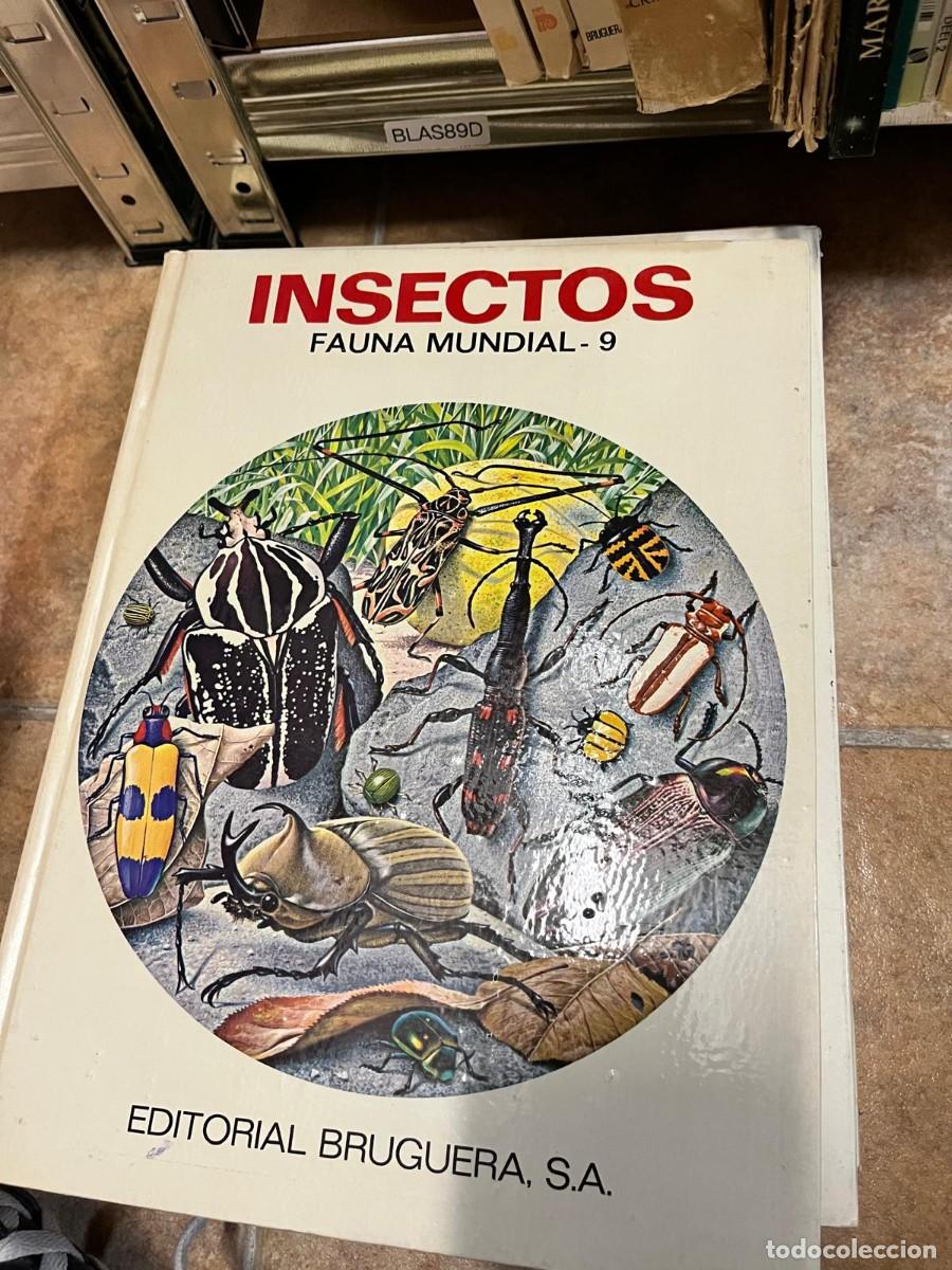 Libros de segunda mano: BLAS89D &ndash; Insectos. Fauna Mundial - 9. Editorial Bruguera, S.A.