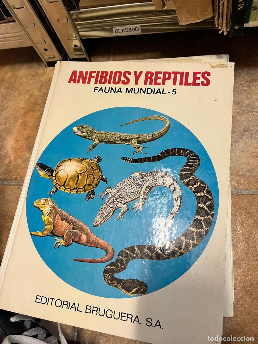 Libros de segunda mano: BLAS89D &ndash; Anfibios y reptiles. Fauna Mundial - 5. Editorial Bruguera, S.A.