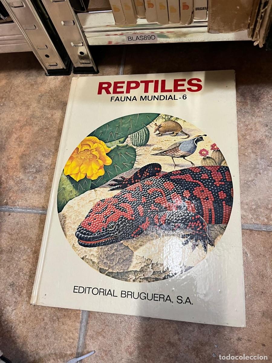 Libros de segunda mano: BLAS89D &ndash; reptiles. Fauna Mundial - 6. Editorial Bruguera, S.A.