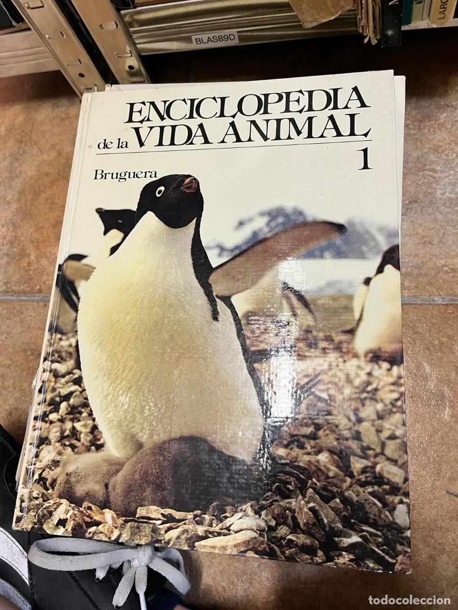 Libros de segunda mano: BLAS89D &ndash; ENCICLOPEDIA de la VIDA ANIMAL Bruguera