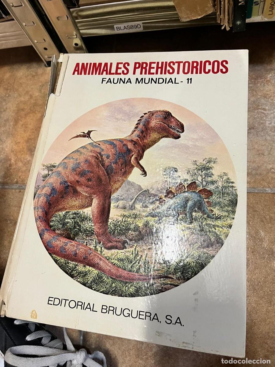Libros de segunda mano: BLAS89D ANIMALES PREHISTORICOS FAUNA MUNDIAL- 11 EDITORIAL BRUGUERA, S.A.