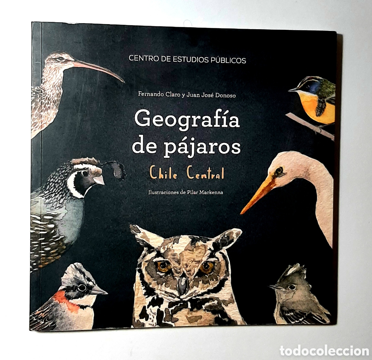 Libros de segunda mano: GEOGRAF&Iacute;A DE P&Aacute;JAROS. CHILE CENTRAL. CLARO. DONOSO. PILAR MACKENNA. 2014. ORNITOLOG&Iacute;A. HUEDERS.