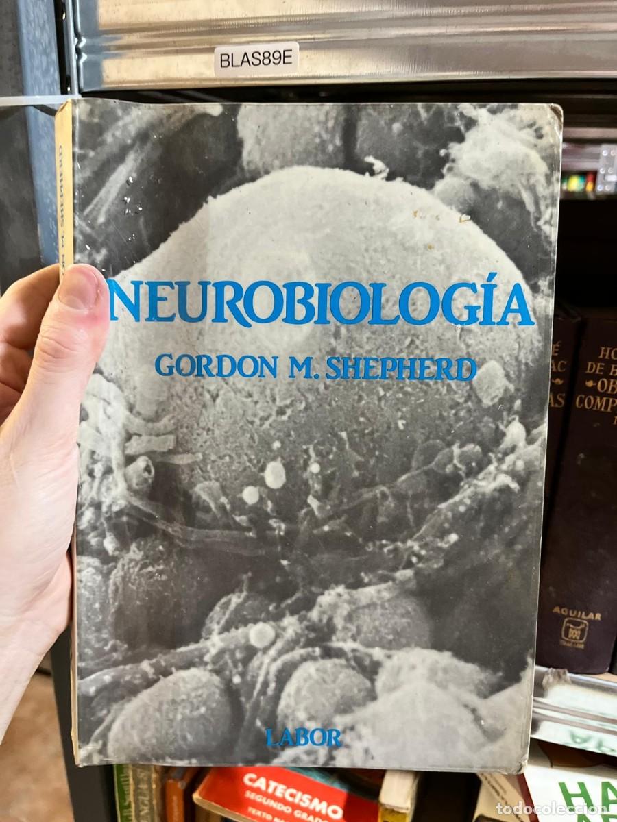 Libros de segunda mano: BLAS89E - Neurobiolog&iacute;a &mdash; Gordon M. Shepherd &mdash; Labor. - Foto 1