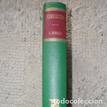 Libros de segunda mano: LIBRO FLORICULTURA Gabriel Bornas Salvat Editores 181 Grabados L&aacute;minas Color Bot&aacute;nica PEIFER