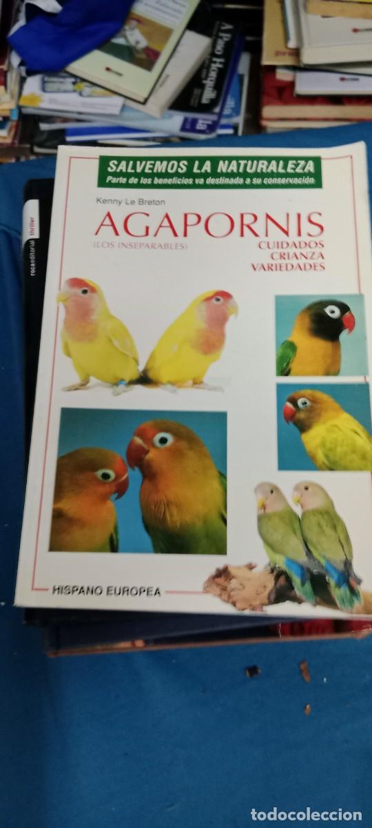 Libros de segunda mano: AGAPORNIS (LOS INSEPARABLES). CUIDADOS, CRIANZA, VARIEDADES. LE BRETON, KENNY LIBRO M-JYE