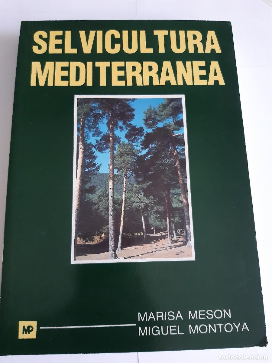 Libros de segunda mano: SELVICULTURA MEDITERRANEA (EL CULTIVO DEL MONTE). - MESON, Marisa. MONTOYA, Miguel.