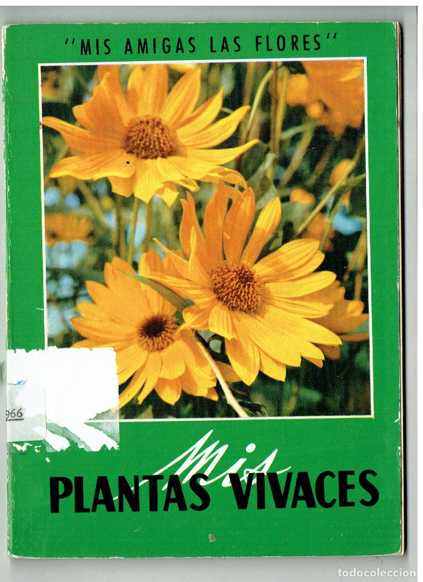 Libros de segunda mano: MIS AMIGAS LAS FLORES. MIS PLANTAS VIVACES. EDT. GUSTAVO GILI. 1972. (Z/34.1)