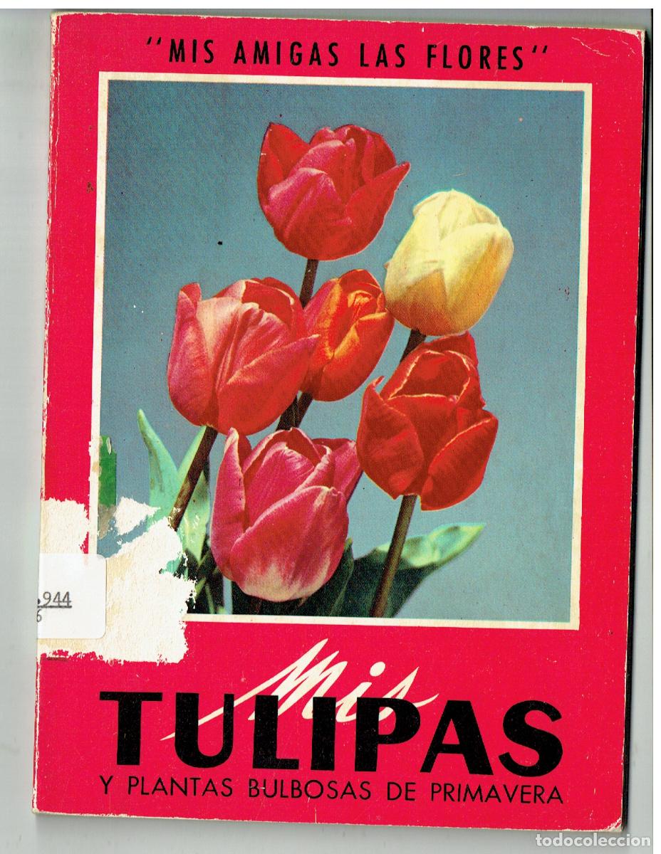 Libros de segunda mano: MIS AMIGAS LAS FLORES. MIS TULIPAS Y PLANTAS BULBOSAS DE PRIMAVERA. GUSTAVO GILI. 1972. (Z/34.1)
