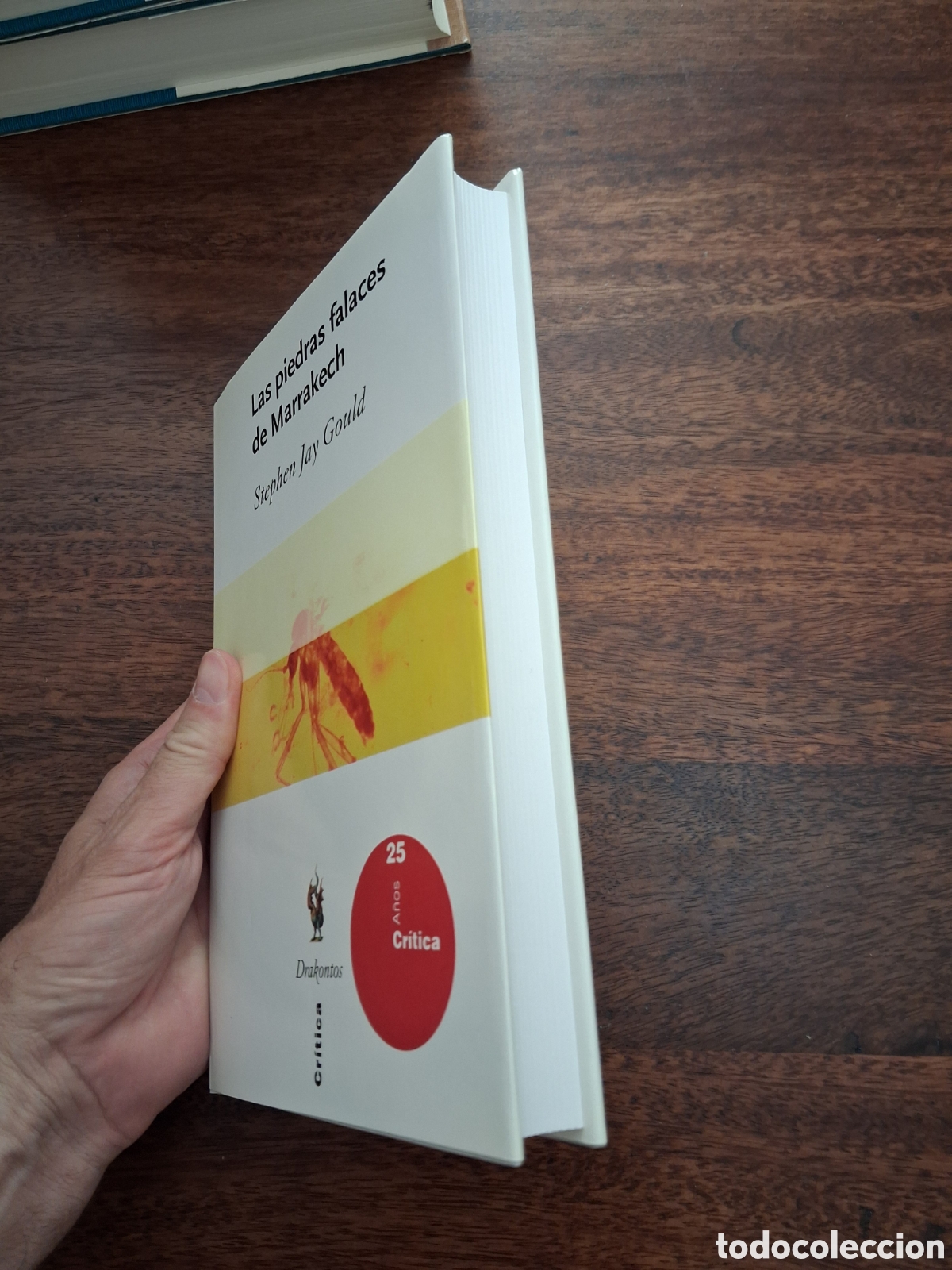 Libros de segunda mano: Las piedras falaces de Marrakech, Stephen Jay Gould - Foto 2