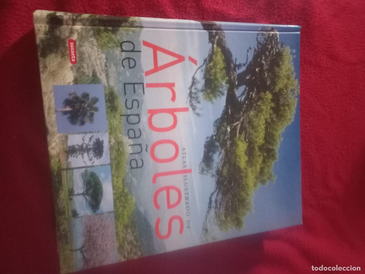 Libros de segunda mano: ATLAS ILUSTRADO DE ARBOLES DE ESPA&Ntilde;A - ED. SUSAETA - CARTONE 252 PAGINAS