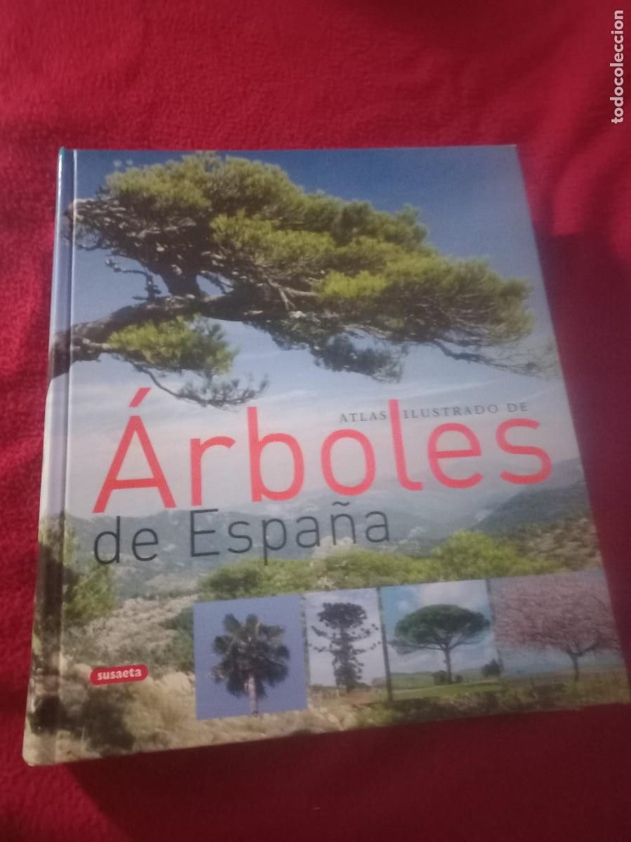 Libros de segunda mano: ATLAS ILUSTRADO DE ARBOLES DE ESPA&Ntilde;A - ED. SUSAETA - CARTONE 252 PAGINAS