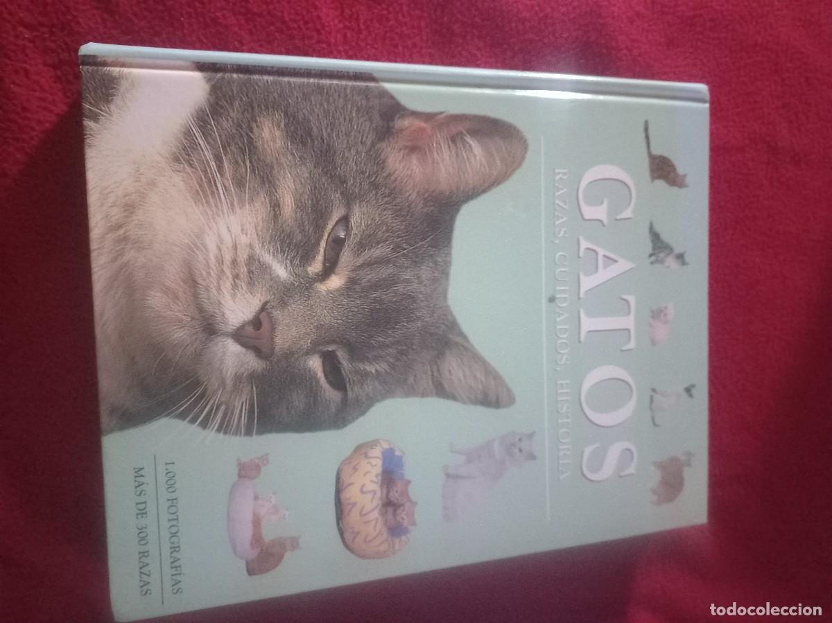 Libros de segunda mano: GATOS RAZAS , CUIDADOS , HISTORIA - ED. PARRAGON - CARTONE 384 PAGINAS