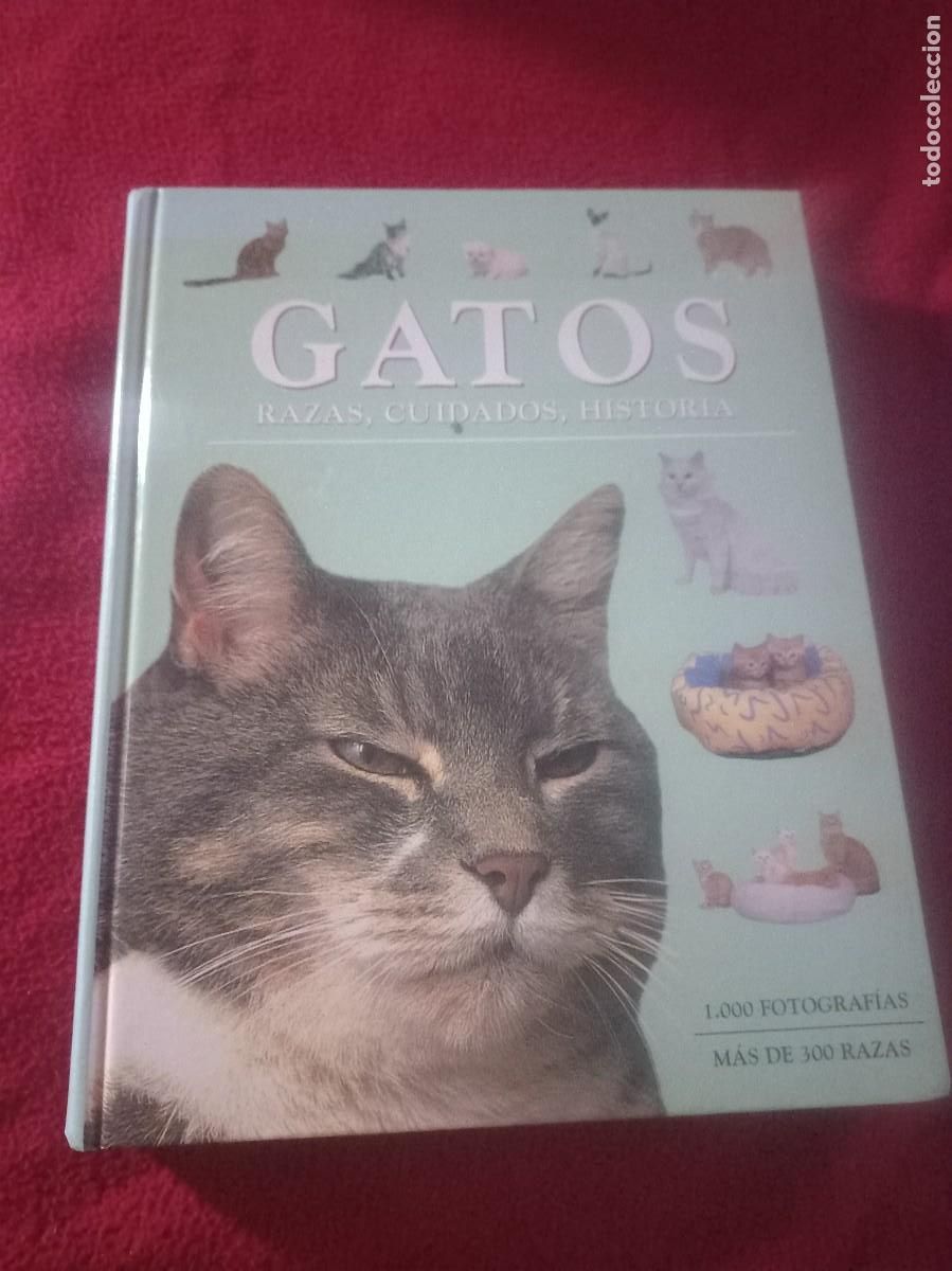 Libros de segunda mano: GATOS RAZAS , CUIDADOS , HISTORIA - ED. PARRAGON - CARTONE 384 PAGINAS