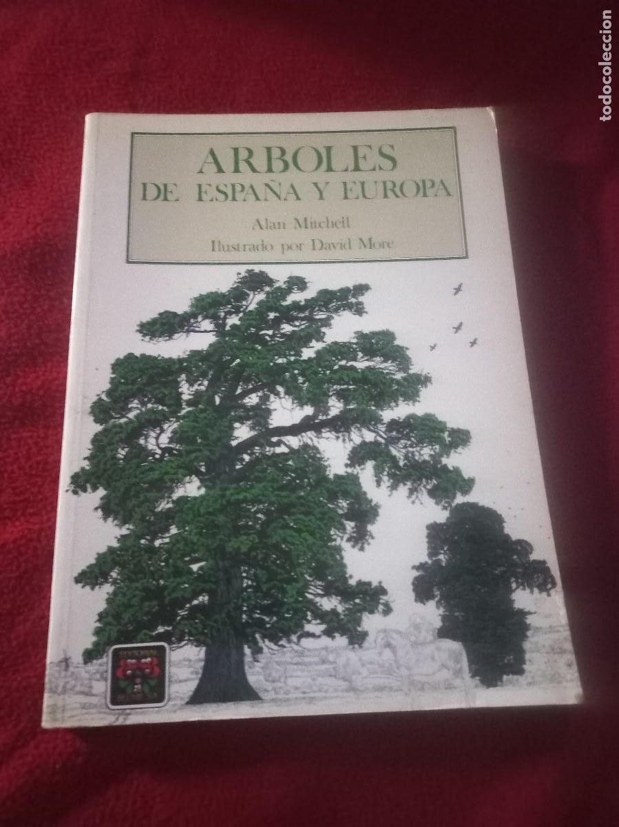 Libros de segunda mano: ARBOLES DE ESPA&Ntilde;A Y EUROPA - MITCHELL & D. MORE - ED. BLUME - RUSTICA 184 PAGINAS