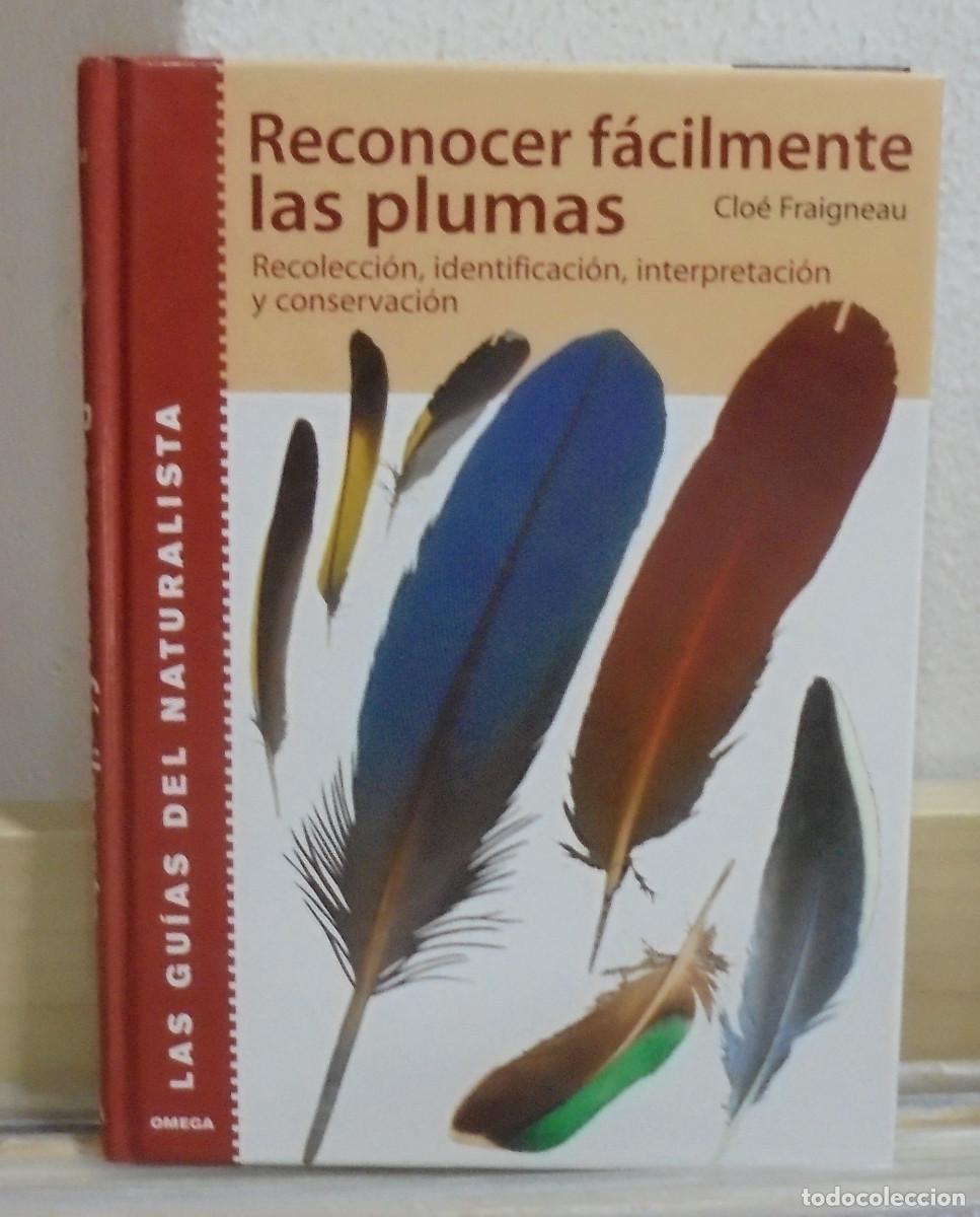 Libros de segunda mano: Reconocer f&aacute;cilmente las plumas. Clo&eacute; Fraigneau